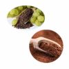 grape seed/skin extract